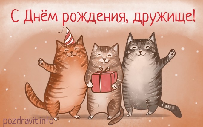 Открытка С днем рождения, дружище с тремя смешными котами